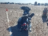 1HD1KEM16DB****** Salvage and Repairable 2013 Harley-Davidson Electra Glide Ultra Limited in South Dakota State