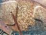 00000000000****** Used 2005 Mahindra 6520 Tractor in Specialty Division