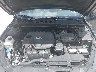 5XXGM4A75FG****** Reparables 2015 Kia Optima en Pensacola