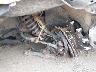 3TMCZ5AN7LM****** Salvamento y Destrozados 2020 Toyota Tacoma en Baltimore