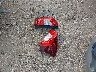 3HGGK5H80FM****** Destrozados 2015 Honda Fit en Estado de Texas