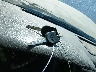 1FTMF1CM5CK****** Salvamento 2012 Ford F-150 en Estado de Iowa