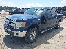 1FTFW1EF9DF****** Used and Repairable 2013 Ford F-150 in Savannah