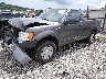 1FTRF12W69K****** Used and Repairable 2009 Ford F-150 in Fayetteville
