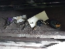 4YDF42535KR****** Salvage 2019 Keystone Keystone in Florida State