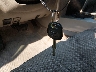 JTEBU14R860****** Salvage 2006 Toyota 4Runner in Maryland State