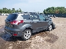 1FMCU9GX8GU****** Salvage and Wrecked 2016 Ford Escape in Indiana State