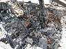 4T4BF1FK0FR****** Used and Repairable 2015 Toyota Camry in Florida State