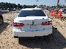 4T1C11AK5LU****** Usados 2020 Toyota Camry