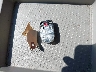 5FNRL5H67CB****** Salvage 2012 Honda Odyssey in Ohio State