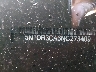 5N1DR3CA6NC****** Used 2022 Nissan Pathfinder in Orlando North