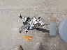 1G1ZD5ST7PF****** Wrecked 2023 Chevrolet Malibu in North Dakota State