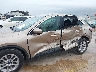 1FMCU0G63LU****** Salvamento y Reparables 2020 Ford Escape en Estado de Texas