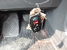 5TDJRKEC2RS****** Salvamento 2024 Toyota Sienna en Estado de Maryland