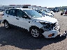 1FMCU0F72KU****** Salvamento y Destrozados 2019 Ford Escape en Saint Louis