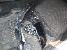 JTDACAAJ0S3****** Destrozados 2025 Toyota Crown Signia en Estado de Nueva York