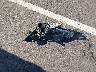 1N4AL3AP8FC****** Wrecked 2015 Nissan Altima in North Carolina State