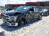 1FTFW5L80SF****** Used and Repairable 2025 Ford F-150 in Dream Rides