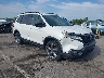 5FNYF8H95KB****** Salvage and Wrecked 2019 Honda Passport in Fort Wayne