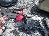 JN8AT2MT7HW****** Wrecked 2017 Nissan Rogue in South Carolina State