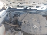 5TFUU4EN6DX****** Reparables 2013 Toyota Tacoma en Denver East