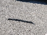 2T2BK1BA2AC****** Wrecked 2010 Lexus RX 350 in Iowa State