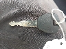 JH4CL96826C****** Salvage 2006 Acura TSX in New Jersey State
