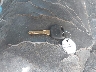 1GCEC14X13Z****** Salvage 2003 Chevrolet Silverado 1500 in Georgia State