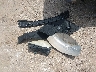1GCGTCEN5N1****** Wrecked 2022 Chevrolet Colorado in Texas State
