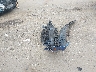 WAUGL78E27A****** Wrecked 2007 Audi S4 in Virginia State