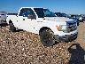 1FTFX1ET6DK****** Salvage and Wrecked 2013 Ford F-150 in Amarillo