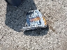 1C4NJPBA9GD****** Wrecked 2016 Jeep Patriot in Illinois State