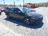 KMHLN4DJ9SU****** Salvage and Wrecked 2025 Hyundai Elantra in Santa Clarita