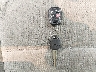 KNDJC733365****** Salvage 2006 Kia Sorento in New York State