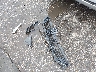 1FTER4FH7LL****** Wrecked 2020 Ford Ranger in Texas State