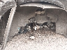 2FMPK4J94MB****** Usados y Reparables 2021 Ford Edge en Scranton