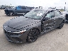 KMHLM4DG9TU****** Usados y Reparables 2026 Hyundai Elantra en Houston South
