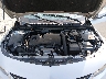 1G1ZE5STXHF****** Reparables 2017 Chevrolet Malibu en Southern New Jersey