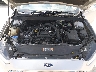 3FA6P0HD0GR****** Usados 2016 Ford Fusion en Springfield