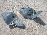 JTHCE1BL4E5****** Destrozados 2014 Lexus GS 350 en Estado de Oklahoma