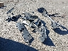 2HKRM3H49GH****** Wrecked 2016 Honda CR-V in California State
