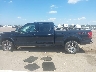 1FTFW1EG5GF****** Repairable 2016 Ford F-150 in South Dakota State