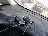 MAJ6S3FLXNC****** Salvage 2022 Ford Ecosport in Iowa State