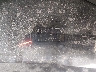 4T1BK46K78U****** Salvage 2008 Toyota Camry in Houston South