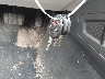 JF2SJADC5FH****** Salvage 2015 Subaru Forester in New York State
