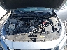 1N4BL4DV7NN****** Reparables 2022 Nissan Altima en Gulf Coast