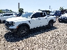 1FTER4HH7RL****** Usados y Reparables 2024 Ford Ranger en Philadelphia