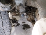 1FM5K8D84FG****** Salvamento y Destrozados 2015 Ford Explorer en Boise