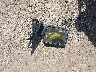 1FTFW1EV5AF****** Salvage 2010 Ford F-150 in Texas State