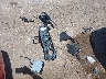 1ZVFT85H965****** Wrecked 2006 Ford Mustang in Texas State
